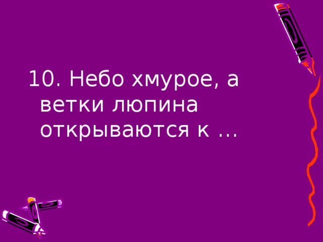 10. Небо хмурое, а ветки люпина открываются к …