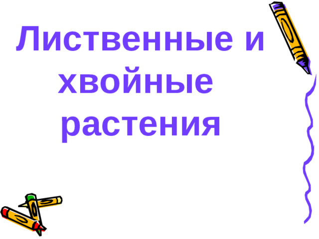 Лиственные и хвойные растения