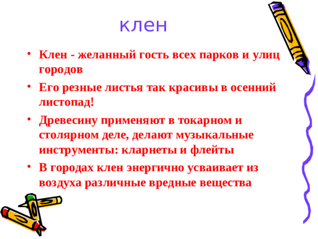 клен
