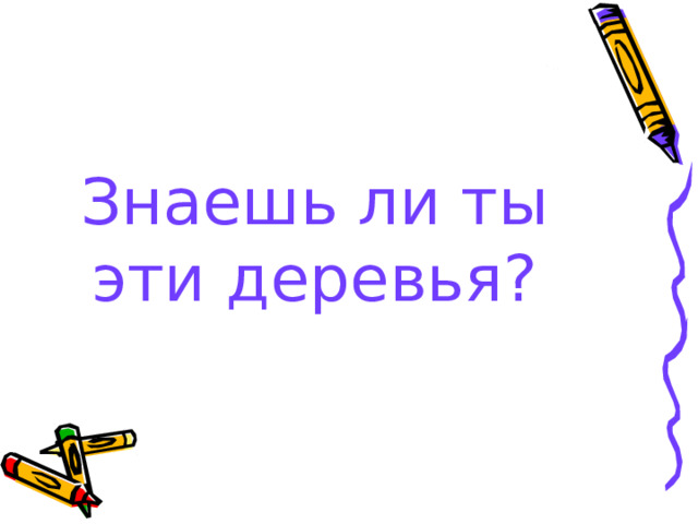 Знаешь ли ты эти деревья?