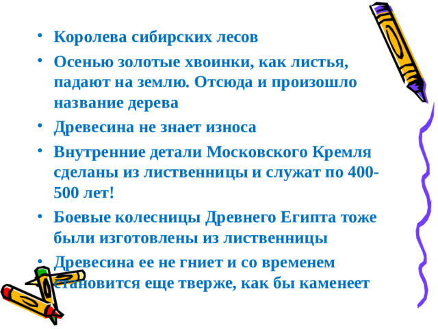 Королева сибирских лесов Осенью золотые хвоинки, как листья, падают на землю. Отсюда и произошло название дерева Древесина не знает износа Внутренние детали Московского Кремля сделаны из лиственницы и служат по 400-500 лет! Боевые колесницы Древнего Египта тоже были изготовлены из лиственницы Древесина ее не гниет и со временем становится еще тверже, как бы каменеет