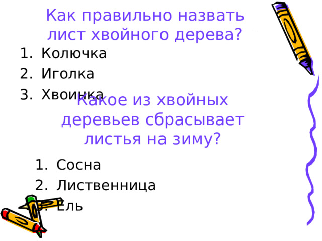 Как правильно назвать лист хвойного дерева? Колючка Иголка Хвоинка Какое из хвойных деревьев сбрасывает листья на зиму?