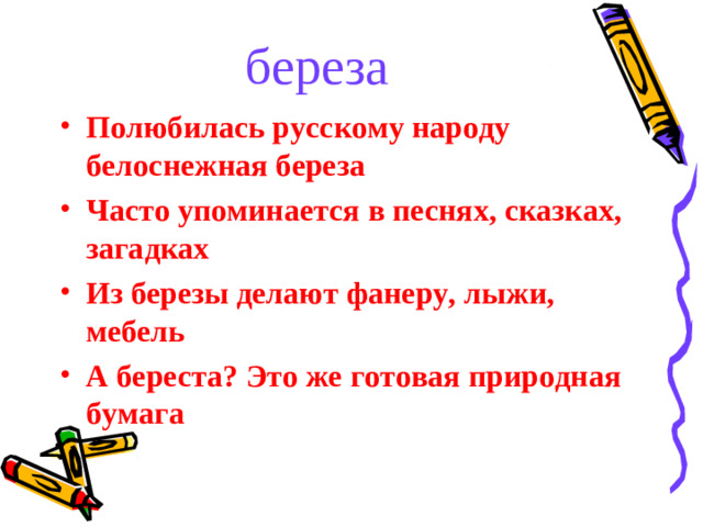 береза