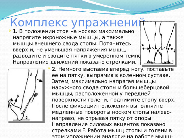 Комплекс упражнений