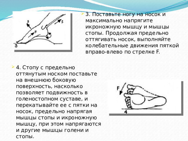 3. Поставьте ногу на носок и максимально напрягите икроножную мышцу и мышцы стопы. Продолжая предельно оттягивать носок, выполняйте колебательные движения пяткой вправо-влево по стрелке F. 4. Стопу с предельно оттянутым носком поставьте на внешнюю боковую поверхность, насколько позволяет подвижность в голеностопном суставе, и перекатывайте ее с пятки на носок, предельно напрягая мышцы стопы и икроножную мышцу, при этом напрягаются и другие мышцы голени и стопы.