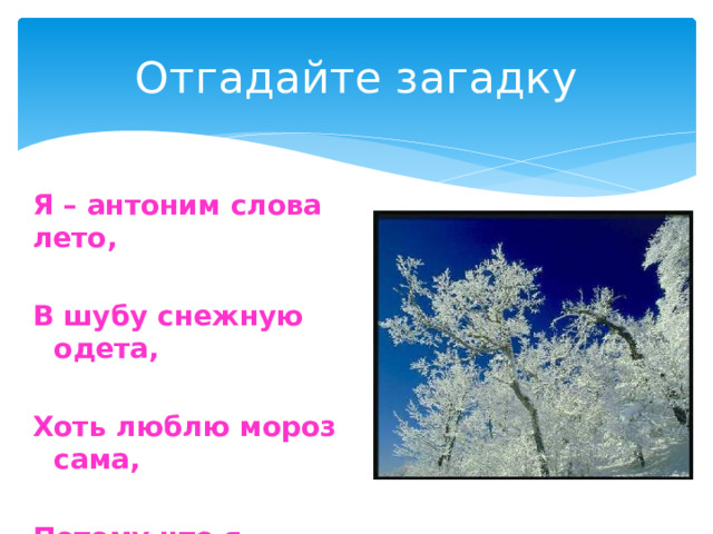 Отгадайте загадку Я – антоним слова лето, В шубу снежную одета, Хоть люблю мороз сама, Потому что я …