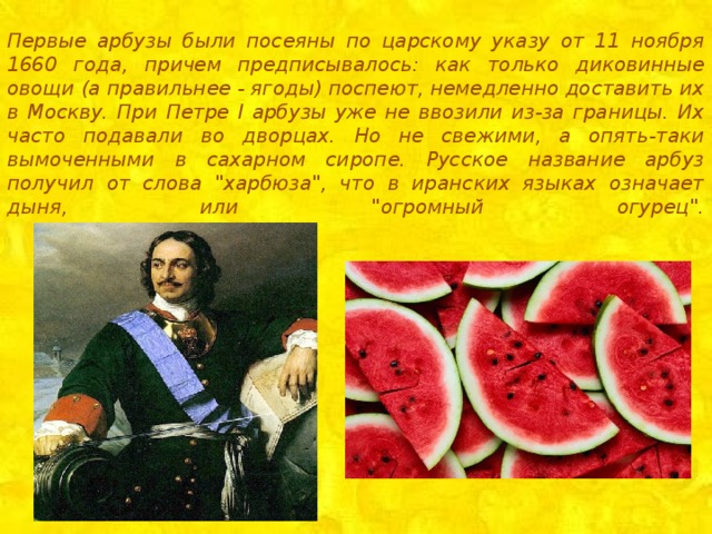 Первые арбузы были посеяны по царскому указу от 11 ноября 1660 года, причем предписывалось: как только диковинные овощи (а правильнее - ягоды) поспеют, немедленно доставить их в Москву. При Петре I арбузы уже не ввозили из-за границы. Их часто подавали во дворцах. Но не свежими, а опять-таки вымоченными в сахарном сиропе. Русское название арбуз получил от слова 