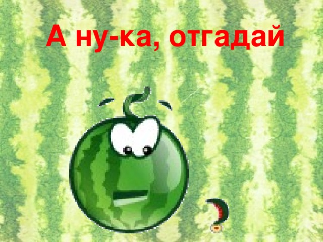 А ну-ка, отгадай