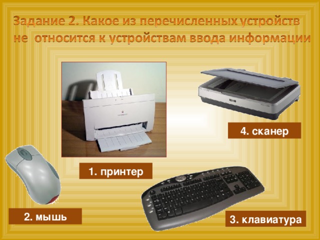 4. сканер 1. принтер 2. мышь 3. клавиатура