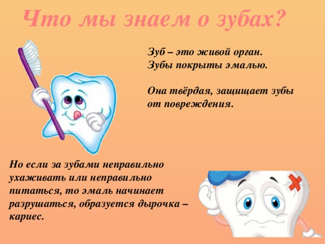 Что мы знаем о зубах? Зуб – это живой орган. Зубы покрыты эмалью.  Она твёрдая, защищает зубы от повреждения.  Но если за зубами неправильно ухаживать или неправильно питаться, то эмаль начинает разрушаться, образуется дырочка – кариес.