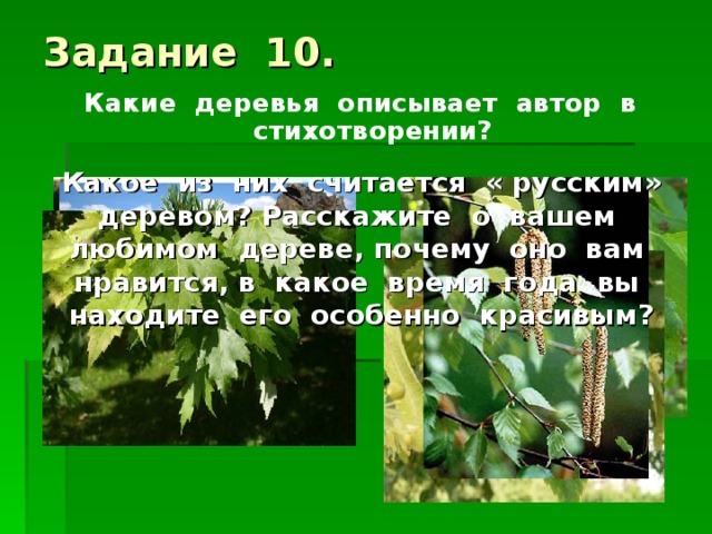 Задание 10. Какие деревья описывает автор в стихотворении?  Какое из них считается « русским» деревом? Расскажите о вашем любимом дереве, почему оно вам нравится, в какое время года вы находите его особенно красивым?