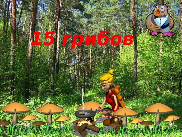15 грибов