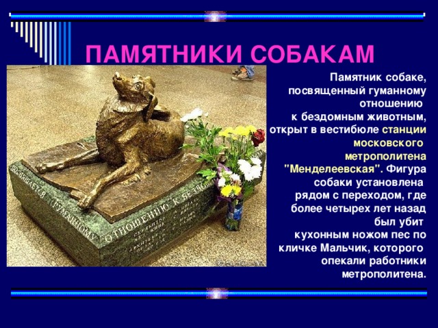 ПАМЯТНИКИ СОБАКАМ Памятник собаке, посвященный гуманному отношению к бездомным животным, открыт в вестибюле станции московского метрополитена 
