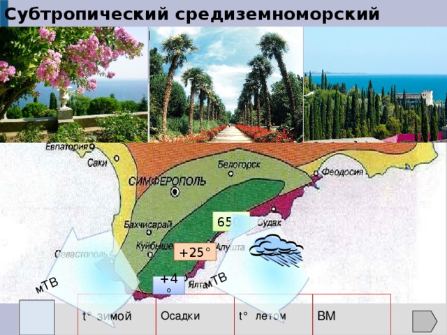 Субтропический средиземноморский (южнобережный)  мТВ мТВ 650 +25° +4° ВМ Осадки t° летом t° зимой
