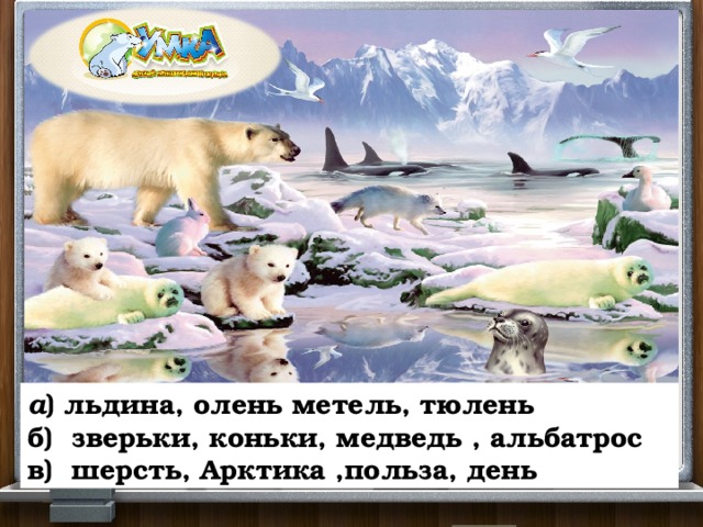 а ) льдина, олень метель, тюлень б) зверьки, коньки, медведь , альбатрос в) шерсть, Арктика ,польза, день