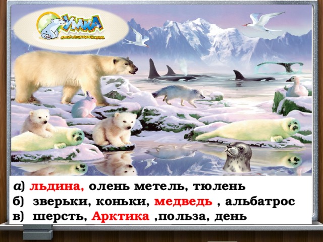 а ) льдина, олень метель, тюлень б) зверьки, коньки, медведь , альбатрос в) шерсть, Арктика ,польза, день