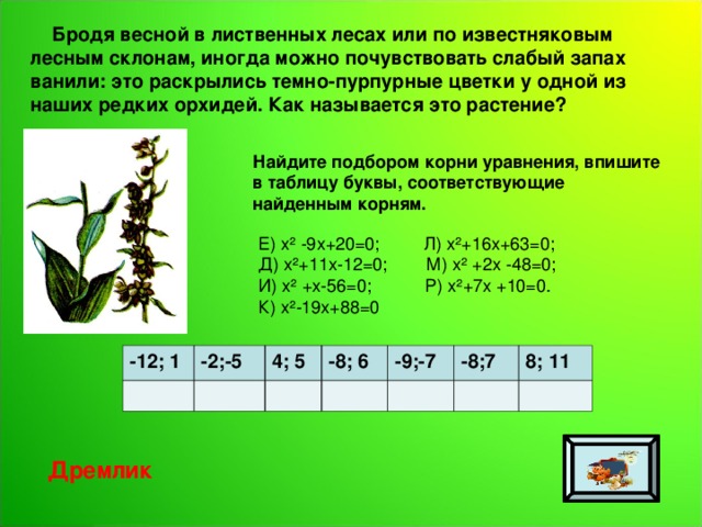 Бродя весной в лиственных лесах или по известняковым лесным склонам, иногда можно почувствовать слабый запах ванили: это раскрылись темно-пурпурные цветки у одной из наших редких орхидей. Как называется это растение? Найдите подбором корни уравнения, впишите в таблицу буквы, соответствующие найденным корням. Е) х² -9х+20=0; Л) х²+16х+63=0; Д) х²+11х-12=0; М) х² +2х -48=0; И) х² +х-56=0; Р) х²+7х +10=0. К) х²-19х+88=0 -12; 1 -2;-5 4; 5 -8; 6 -9;-7 -8;7 8; 11 Дремлик