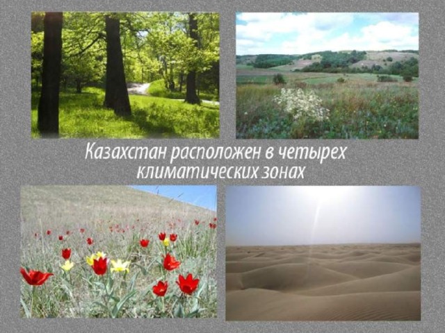 Территория Казахстана расположена в четырёх климатических зонах - лесостепной, степной, полупустынной, пустынной. Лесостепная зона – это равнинные районы севера республики . Степная зона занимает большую территорию на севере республики . Полупустыня – это зона сухих степей центральной части Казахстана . Пустынная зона занимает большую юга республики .