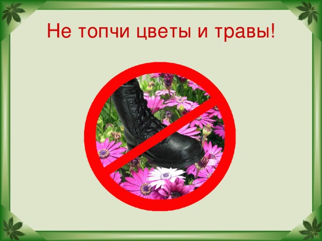 Не топчи цветы и травы!