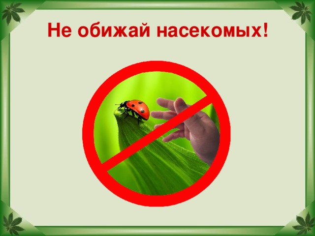 Не обижай животных. Не обижай насекомых. Природоохранные знаки. Знак не обижай насекомых. Берегите насекомых.