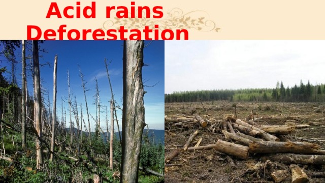 Acid rains  Deforestation