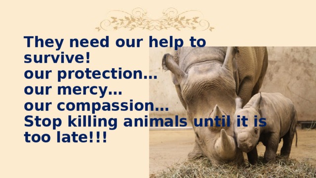 They need our help to survive!  our protection…  our mercy…  our compassion…  Stop killing animals until it is too late!!!