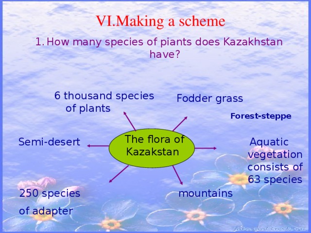 VI.Making a scheme How many species of piants does Kazakhstan have? 6 thousand species of plants  Fodder grass Forest-steppe The flora of Kazakstan Aquatic vegetation consists of 63 species  Semi-desert mountains 250 species of adapter