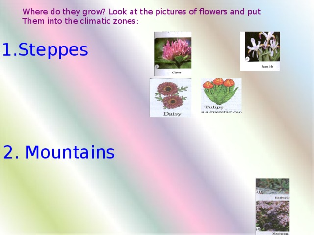 Where do they grow? Look at the pictures of flowers and put Them into the climatic zones: 1.Steppes 4. Reptiles 5.Amphibians 2. Mountains