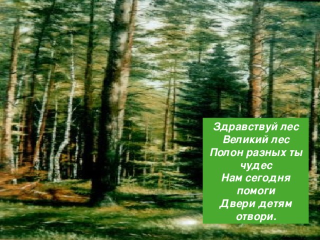 Здравствуй лес Великий лес Полон разных ты чудес Нам сегодня помоги Двери детям отвори.