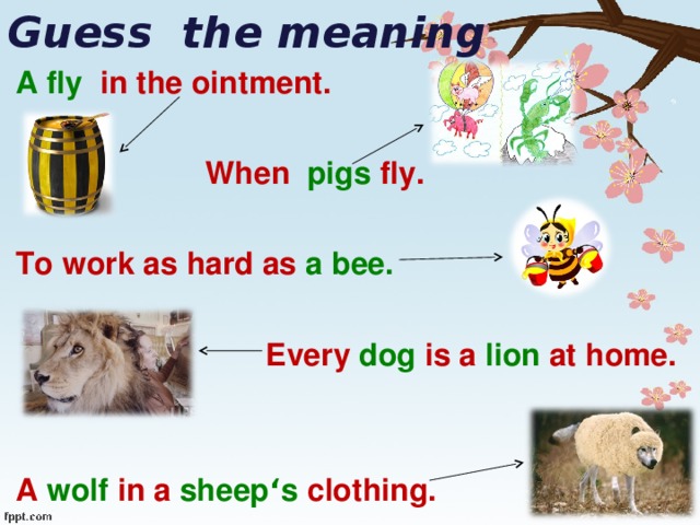 Guess the meaning A fly in the ointment.  When pigs fly.  To work as hard as a bee.   Every dog is a lion at home. A wolf in a sheep ‘ s clothing.