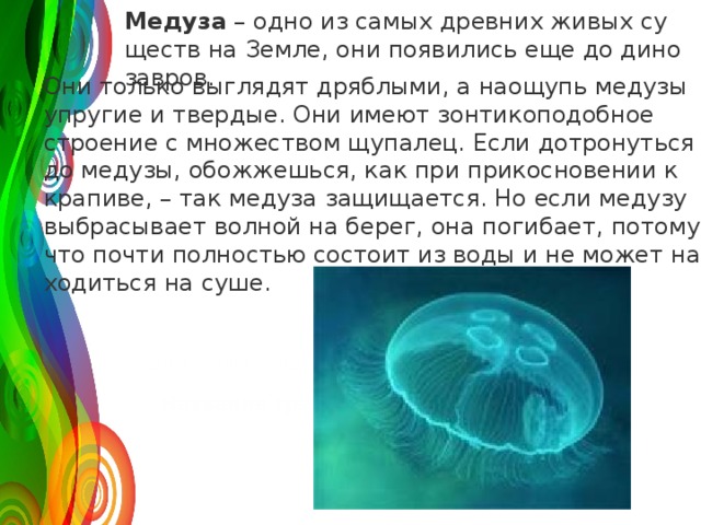 Ме­ду­за  – одно из самых древ­них живых су­ществ на Земле, они по­яви­лись еще до ди­но­зав­ров. Они толь­ко вы­гля­дят дряб­лы­ми, а на­о­щупь ме­ду­зы упру­гие и твер­дые. Они имеют зон­ти­ко­по­доб­ное стро­е­ние с мно­же­ством щу­па­лец. Если до­тро­нуть­ся до ме­ду­зы, обо­жжешь­ся, как при при­кос­но­ве­нии к кра­пи­ве, – так ме­ду­за за­щи­ща­ет­ся. Но если ме­ду­зу вы­бра­сы­ва­ет вол­ной на берег, она по­ги­ба­ет, по­то­му что почти пол­но­стью со­сто­ит из воды и не может на­хо­дить­ся на суше. 120 50 30 2008 2009 2010 2011 Название графика