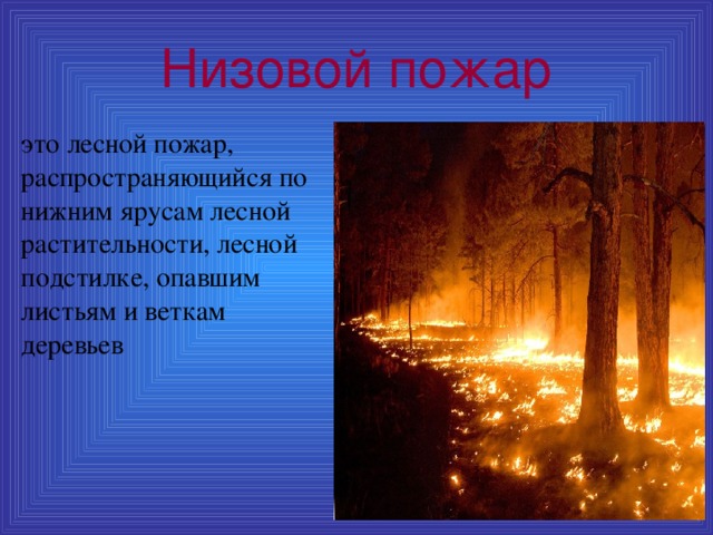 Низовой пожар это лесной пожар, распространяющийся по нижним ярусам лесной растительности, лесной подстилке, опавшим листьям и веткам деревьев