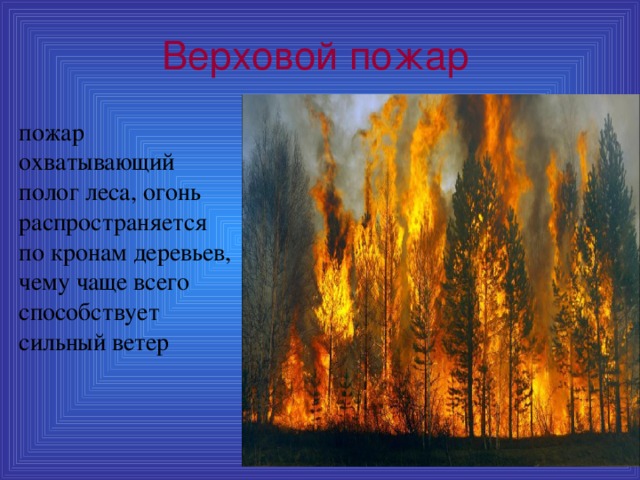 Верховой пожар пожар охватывающий полог леса, огонь распространяется по кронам деревьев, чему чаще всего способствует сильный ветер