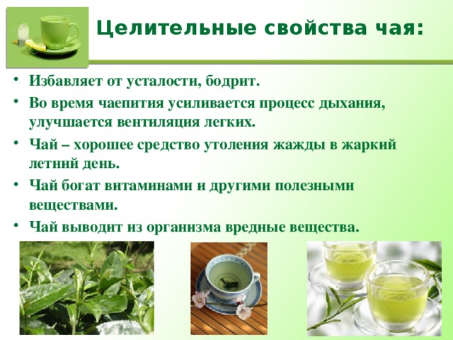 Целительные свойства чая: Избавляет от усталости, бодрит. Во время чаепития усиливается процесс дыхания, улучшается вентиляция легких. Чай – хорошее средство утоления жажды в жаркий летний день. Чай богат витаминами и другими полезными веществами. Чай выводит из организма вредные вещества.