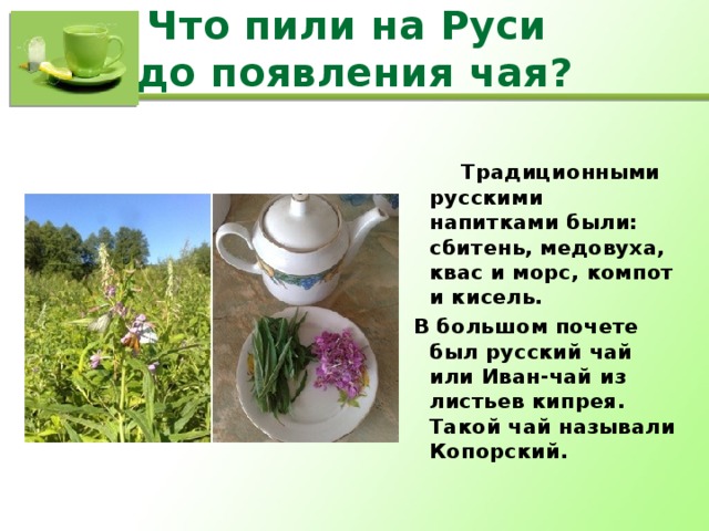 Что пили на Руси  до появления чая?  Традиционными русскими напитками были: сбитень, медовуха, квас и морс, компот и кисель.  В большом почете был русский чай или Иван-чай из листьев кипрея. Такой чай называли Копорский.