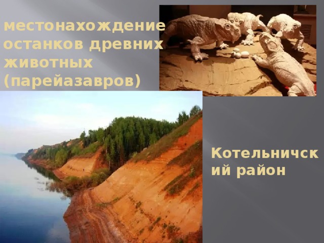 местонахождение останков древних животных (парейазавров) Котельничский район