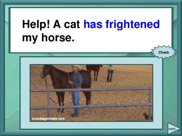 Help! A cat (to frighten) my horse. Help! A cat has frightened my horse. Check next