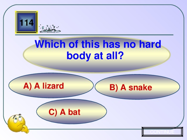 Which of this has no hard body at all?  114 A) A lizard  B) A snake C) A bat CONTINUE