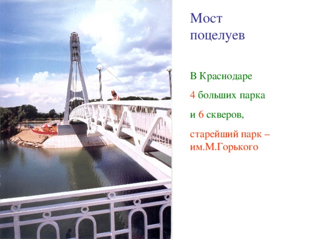 Мост поцелуев В Краснодаре 4 больших парка и 6 скверов, старейший парк – им.М.Горького