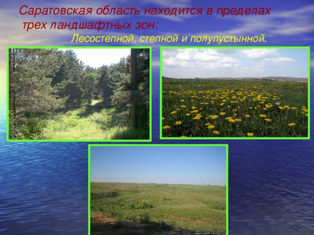 Саратовская область находится в пределах  трех ландшафтных зон:  Лесостепной, степной и полупустынной .