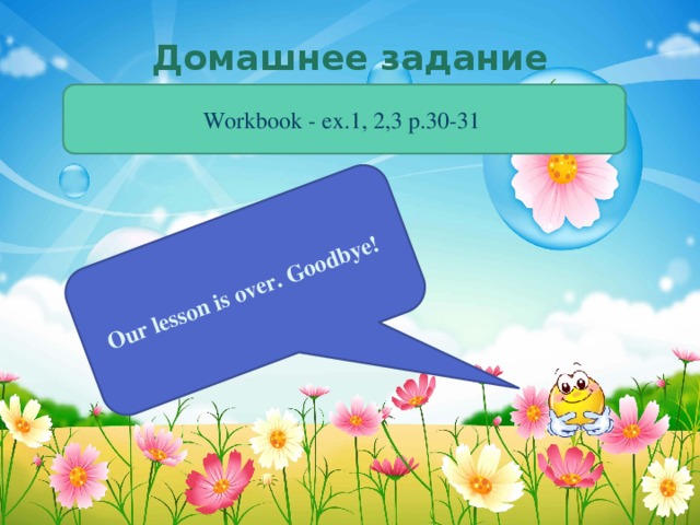 Our lesson is over. Goodbye! Домашнее задание Workbook - ex.1, 2,3 p.30-31