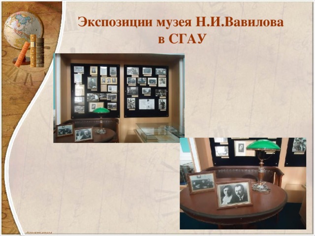 Экспозиции музея Н.И.Вавилова  в СГАУ