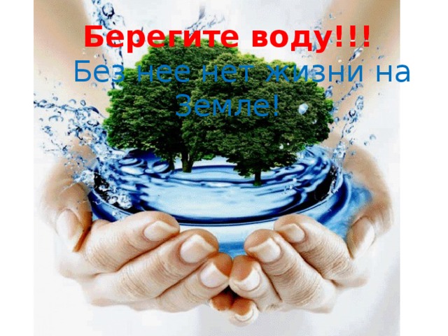 Берегите воду!!!  Без нее нет жизни на Земле!