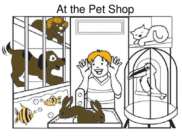 At the Pet Shop