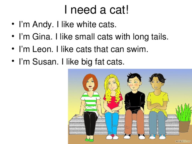 I need a cat!