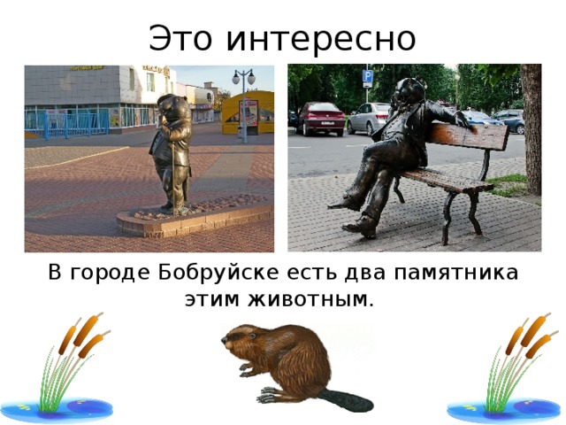 Это интересно В городе Бобруйске есть два памятника этим животным.