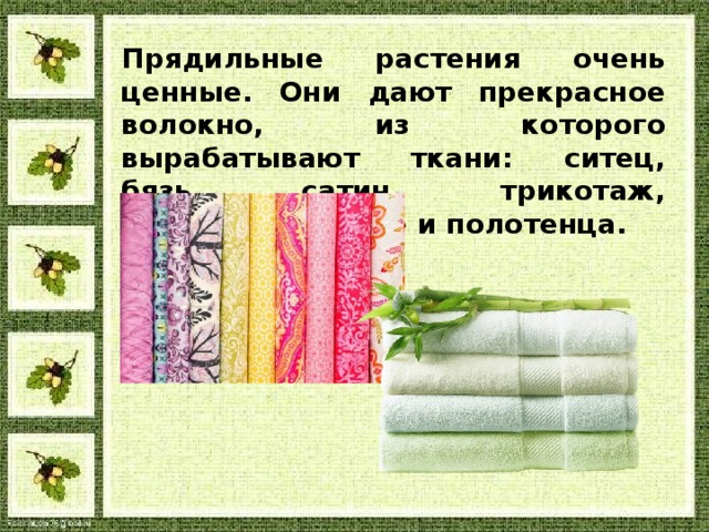 Прядильные растения очень ценные. Они дают прекрасное волокно, из которого вырабатывают ткани: ситец, бязь, сатин, трикотаж, постельное бельё и полотенца.