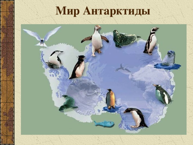 Мир Антарктиды