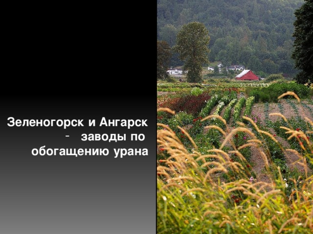 Зеленогорск и Ангарск заводы по обогащению урана