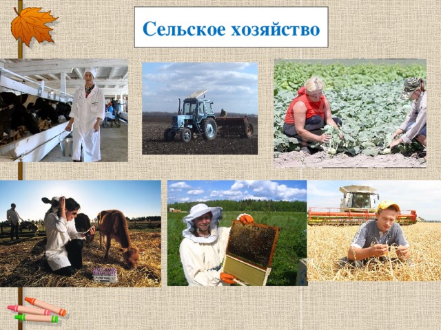 Сельское хозяйство  34